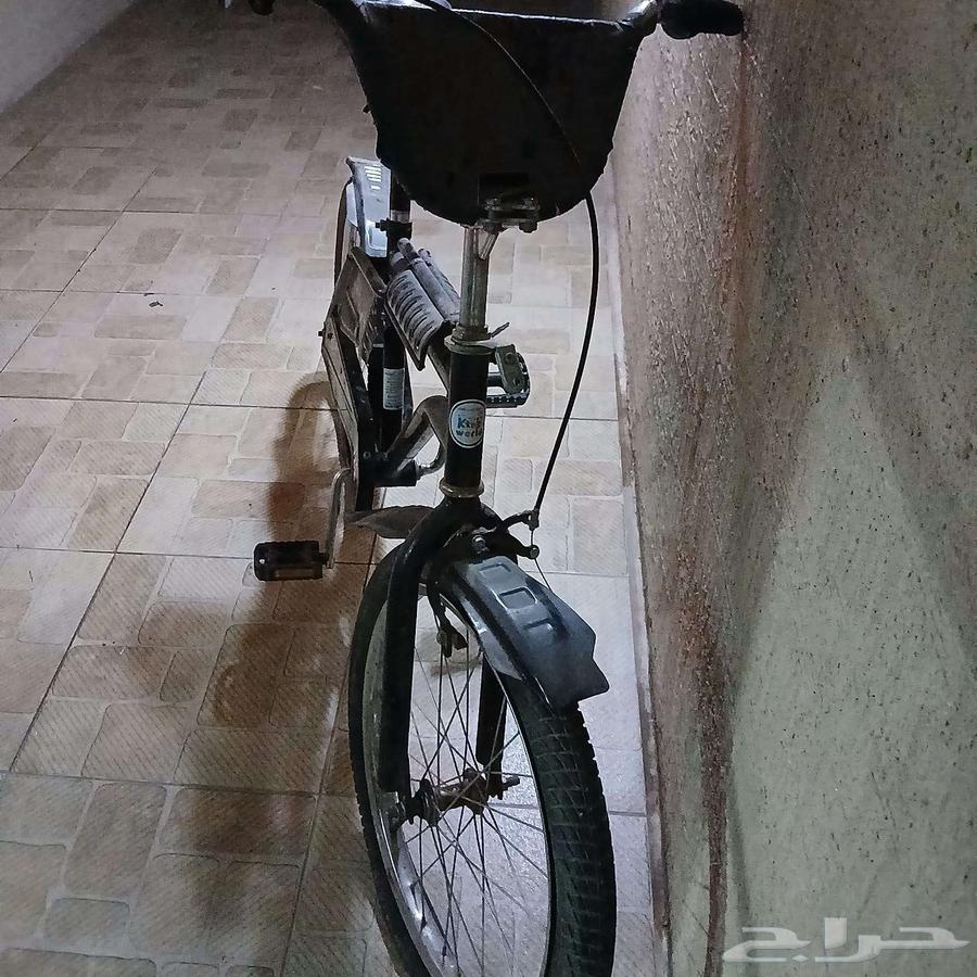 سيكل رامبو مقاس 2064560431323523114