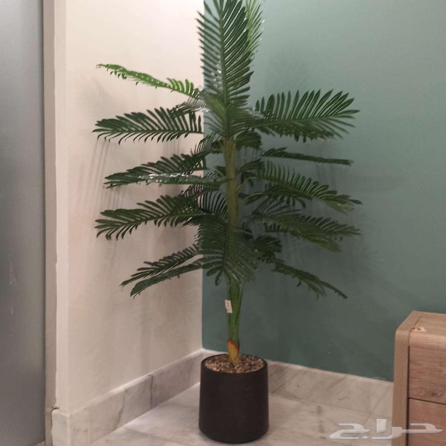Artificial palm tree64563159962626110