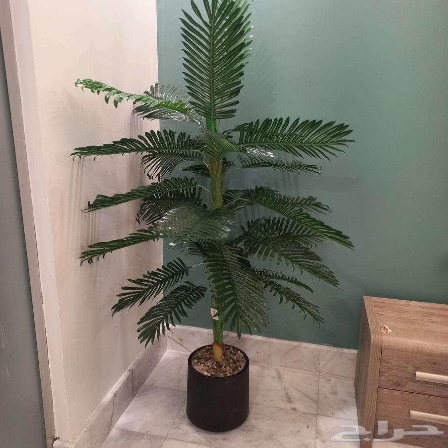 Artificial palm tree64563159962626112