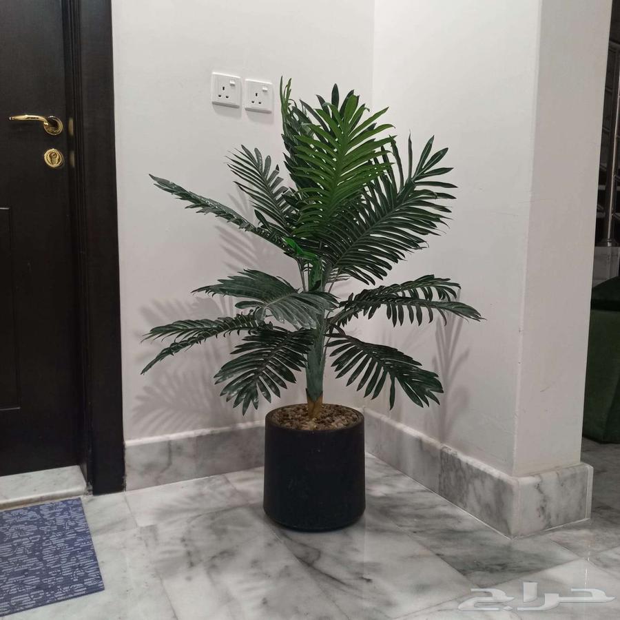 Artificial palm tree64563159962626111