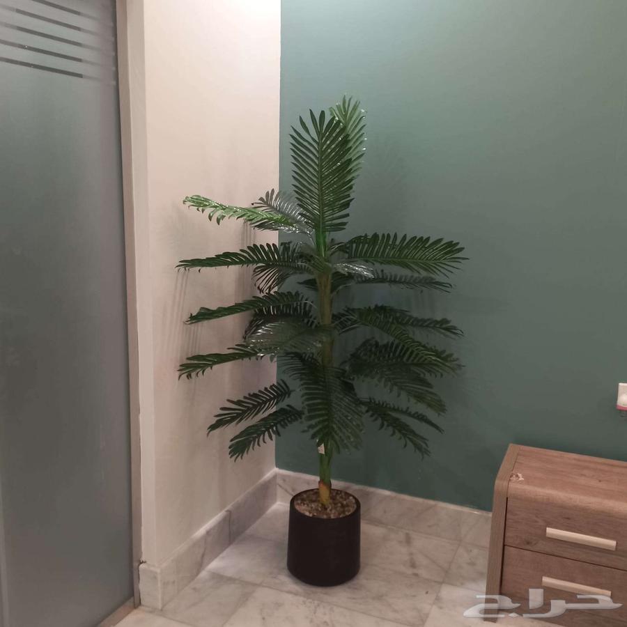 Artificial palm tree64563159962626113