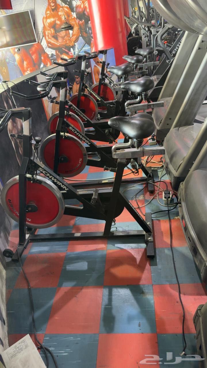 أجهزة رياضية ماركة OLYMPIA64569522142979111