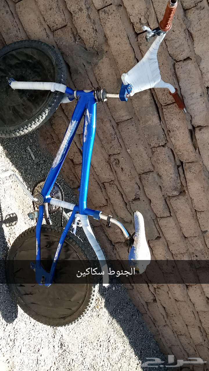 Cobra bicycle size 20 with front and rear brakes, agency, clean64570271764739110