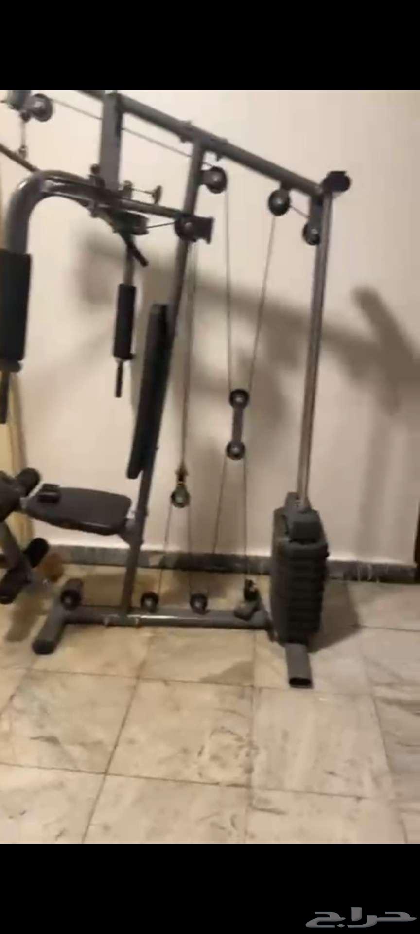 أثقال رياضه تمرين منزلي64565536330113113