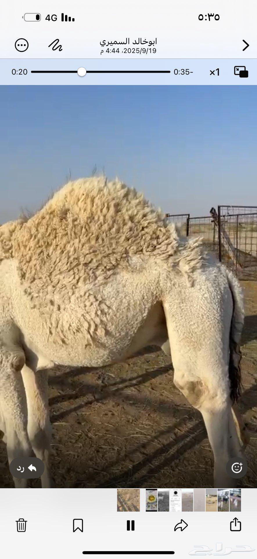 Al-Dawadmi64540510178947110