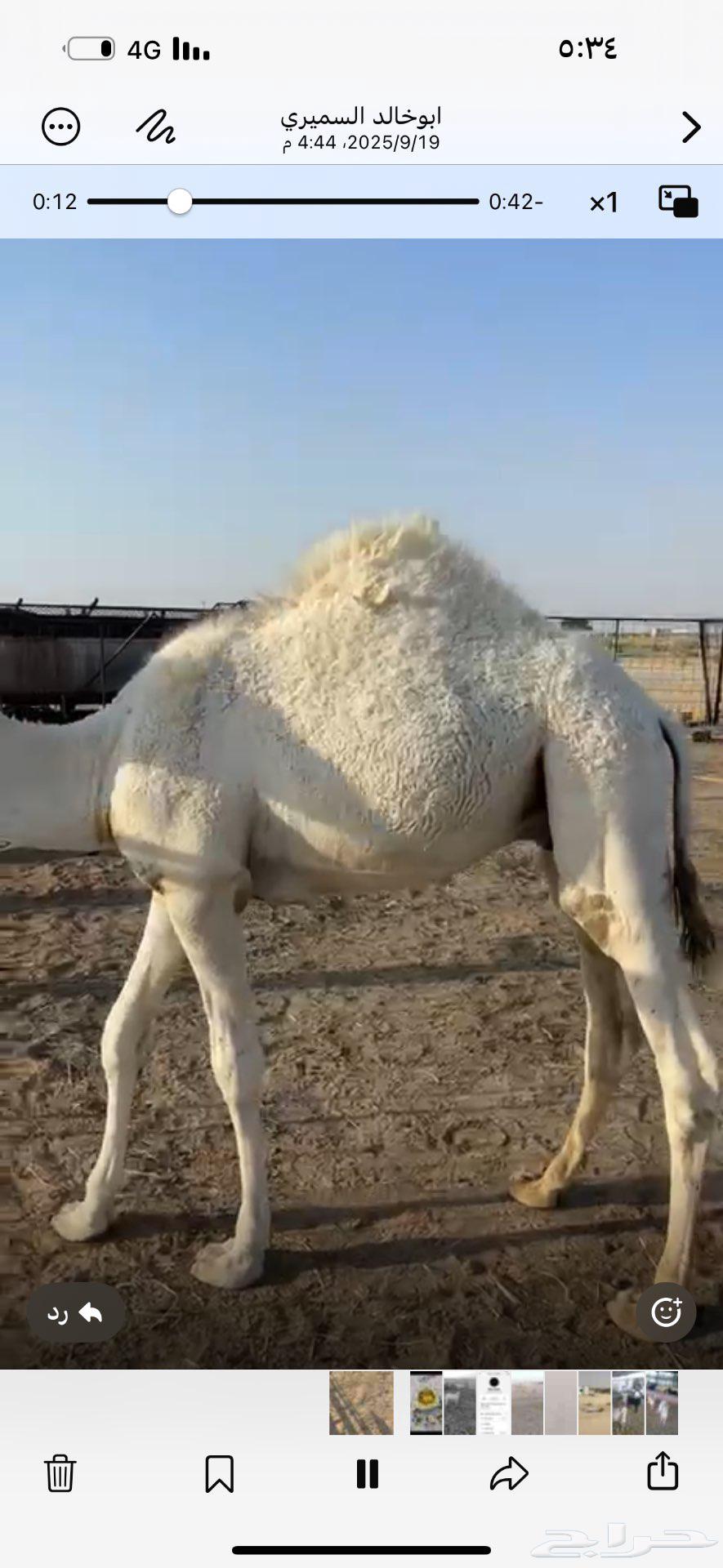 Al-Dawadmi64540510178947111