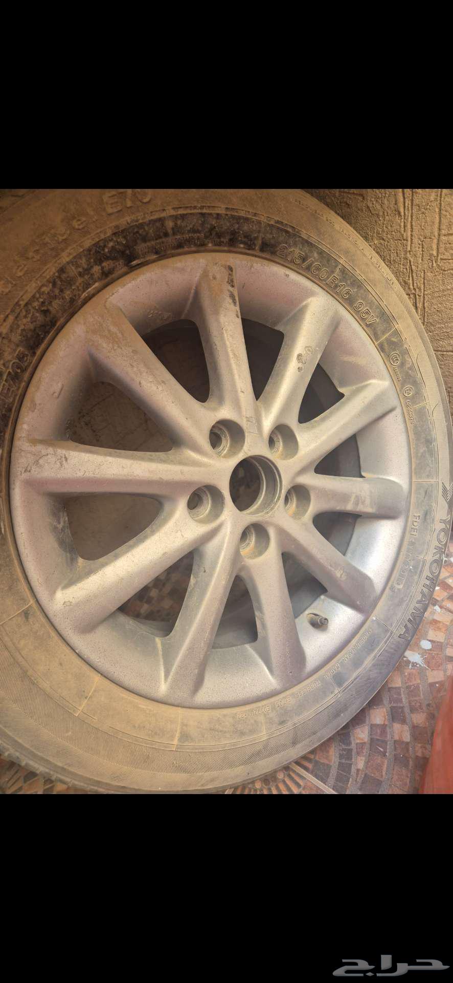 الرياض الياسمين64570846262658112