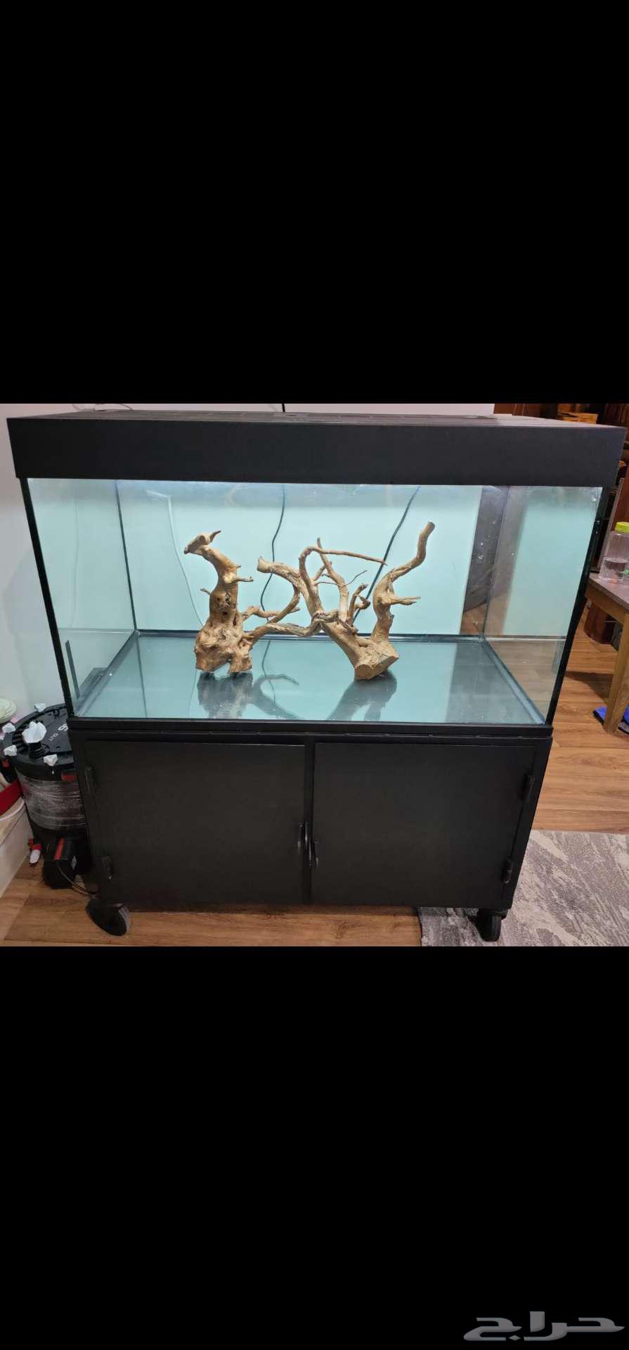 دولاب حديد تفصيل يتحمل اوزان ثقيله64564852560386114