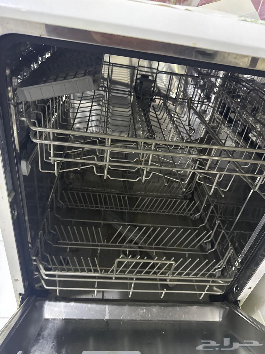 Palm trees64563909677699111