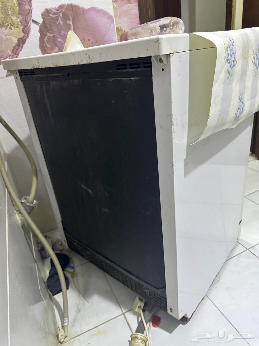 Palm trees64563909677699112