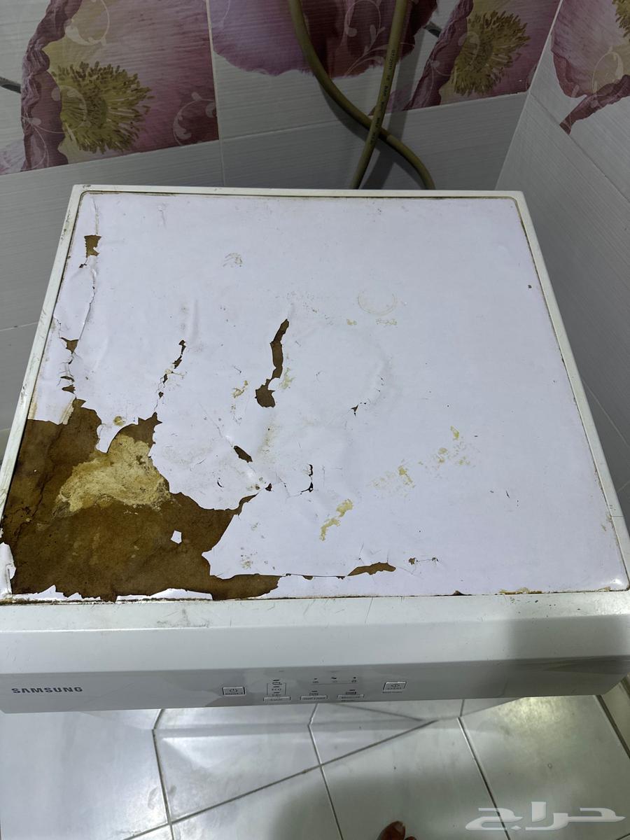 Palm trees64563909677699110