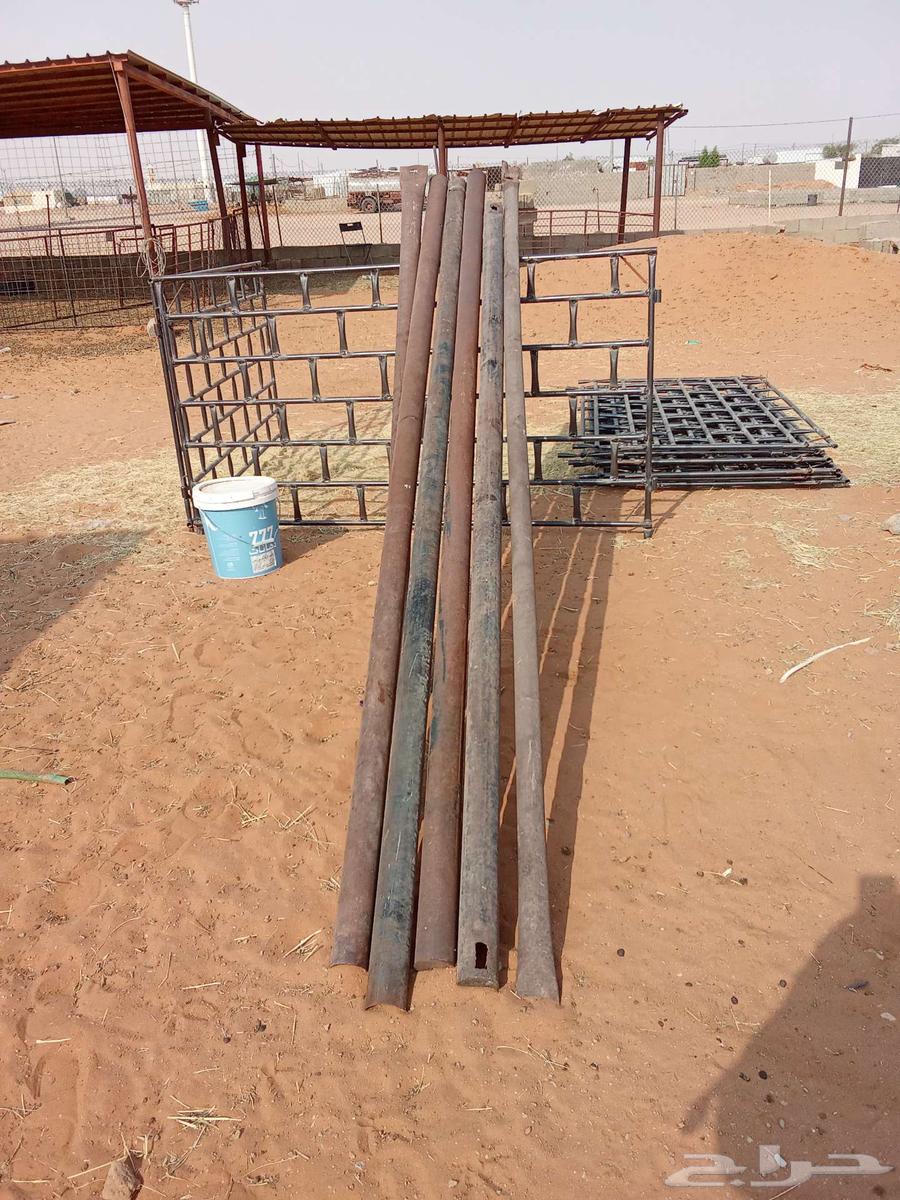 عمدان حديد لبيت الشعر64564587903619110