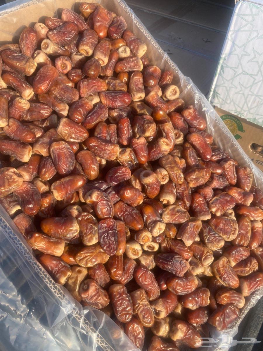 برني كراتين مفتل64565451040130110