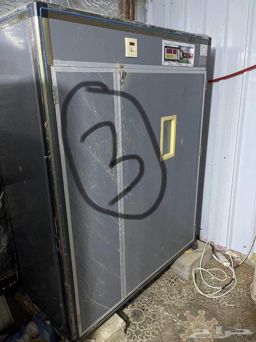 فقاسات صينيه ووحده وطنية64566258495617113