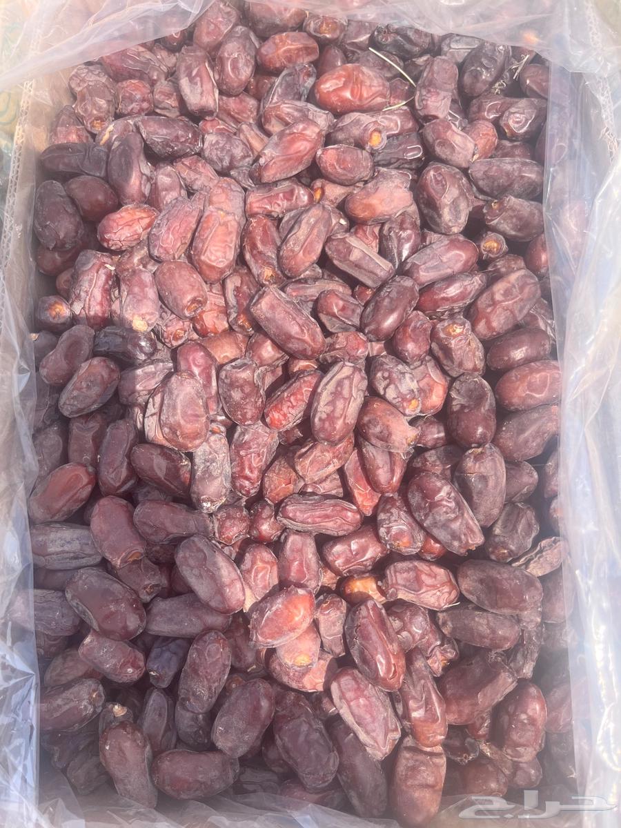 تمر خضري للبيع64566630999809112