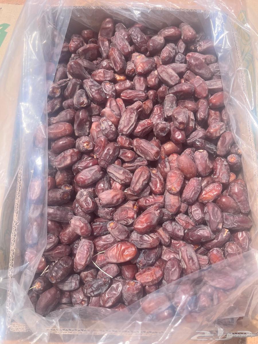 تمر خضري للبيع64566630999809111