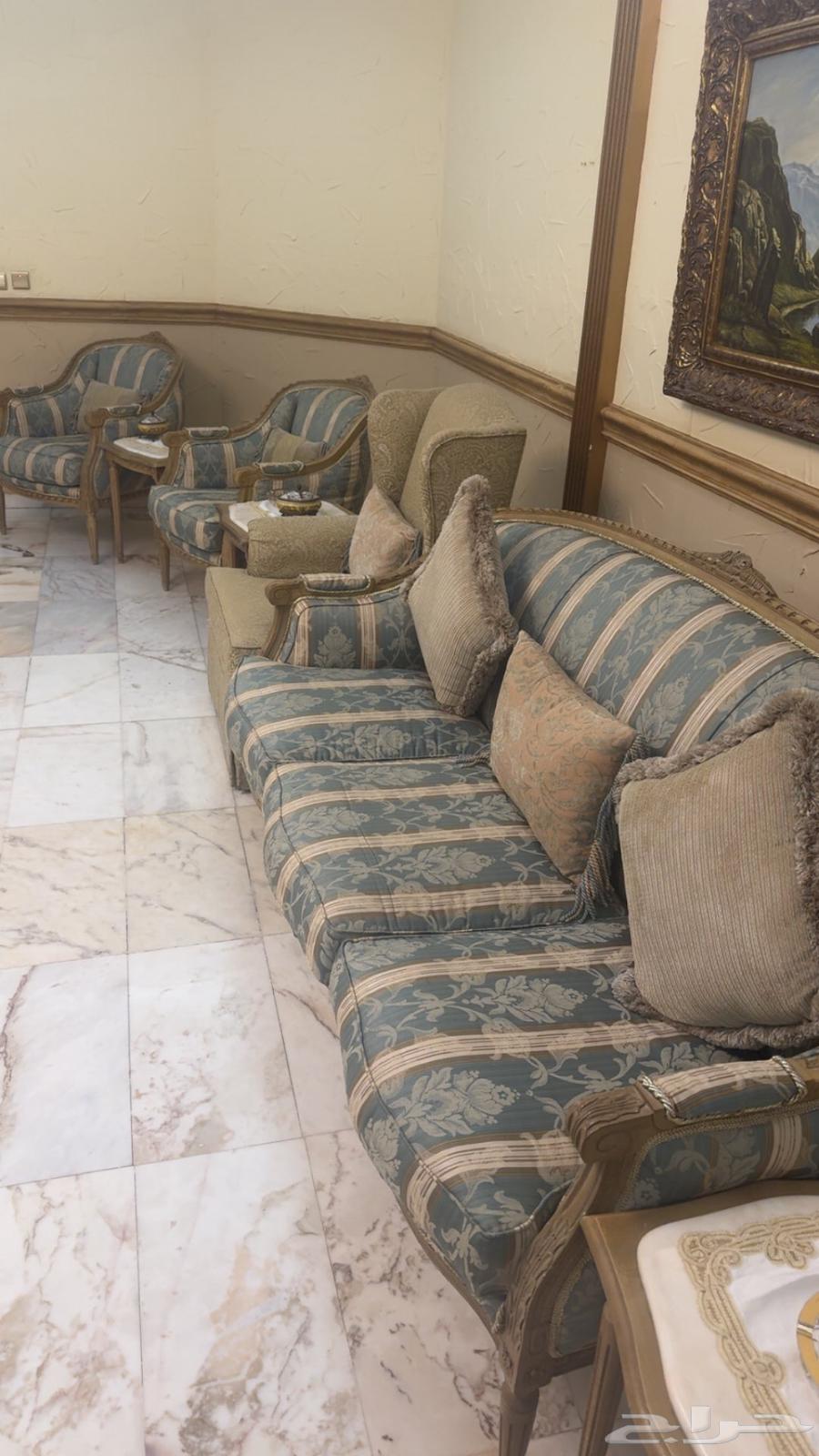 12 كرسي للبيع ( اثاث)64571672441473111