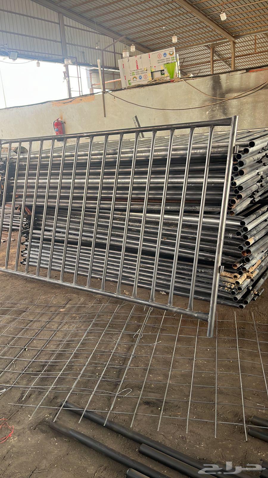 شبوك ابل جديده64565158499458111