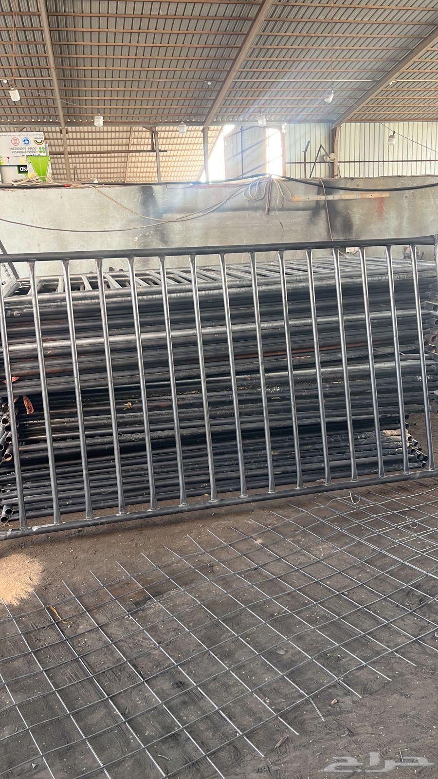 شبوك ابل جديده64565158499458110