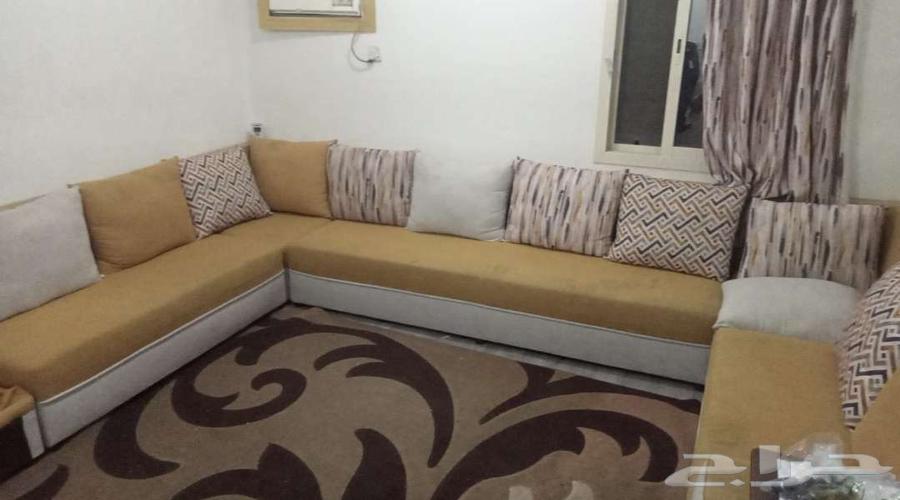 مجلس مع ستارة 600 ريال جدة حى الربوة64566783342211111