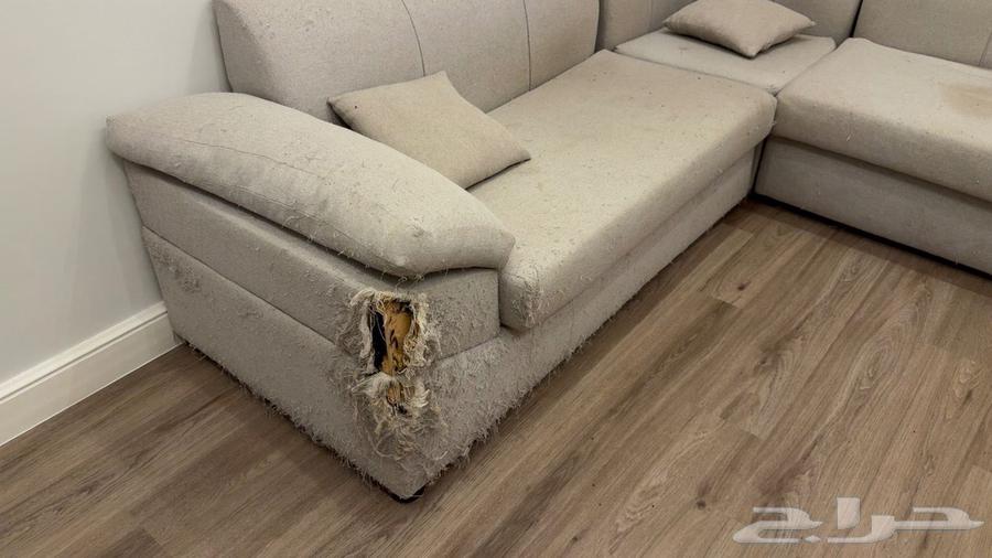 للتنازل كنب وطاولة مكتب او قيمنق صغيرة64569657729282113