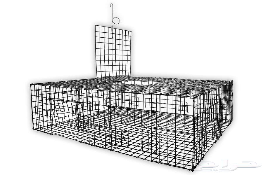 مصيدة حديدية للحمام64569454334979111