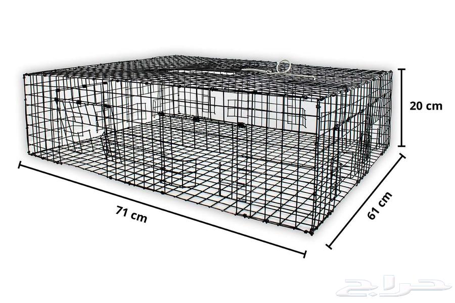 مصيدة حديدية للحمام64569454334979113