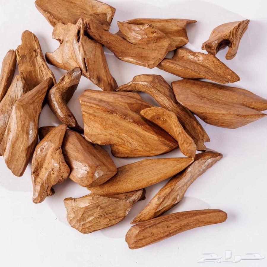 عرض اليوم الوطني عود دبل سوبر مروكي محسن فاخر64567420423042111