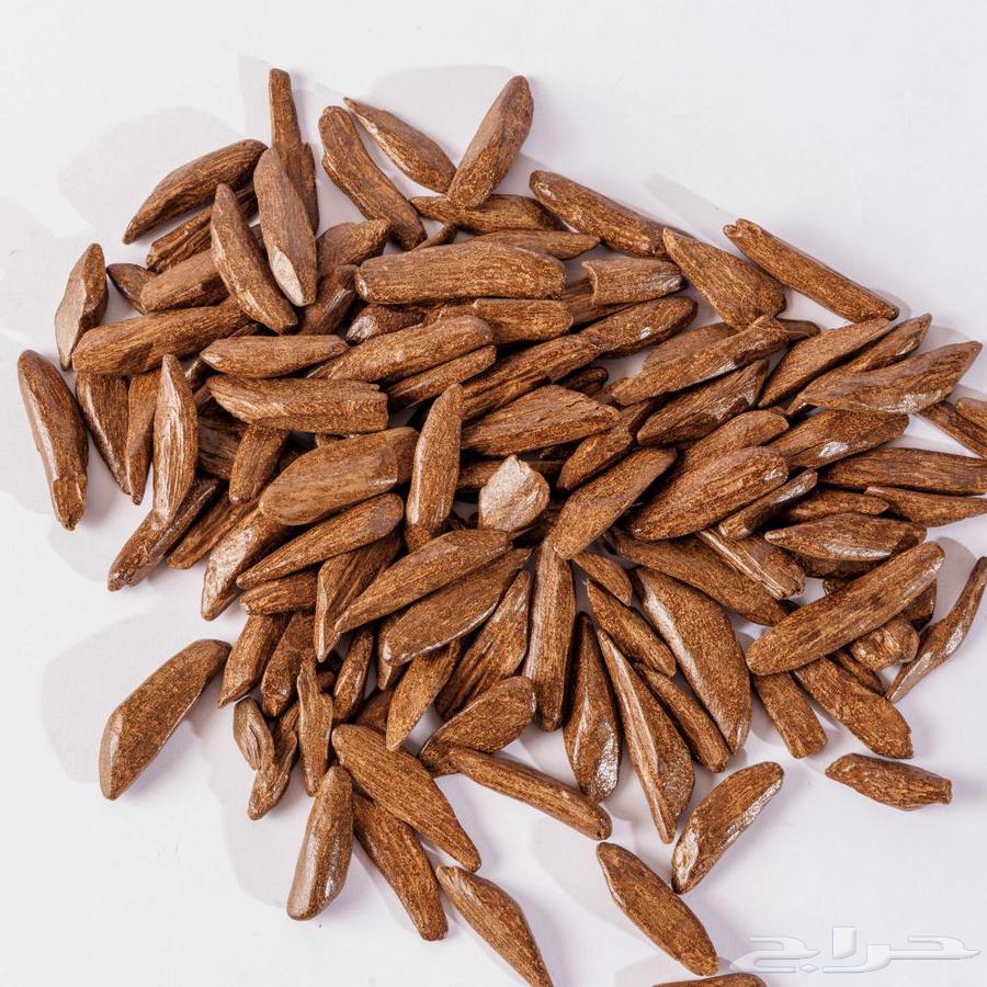 عرض اليوم الوطني عود دبل سوبر مروكي محسن فاخر64567420423042112