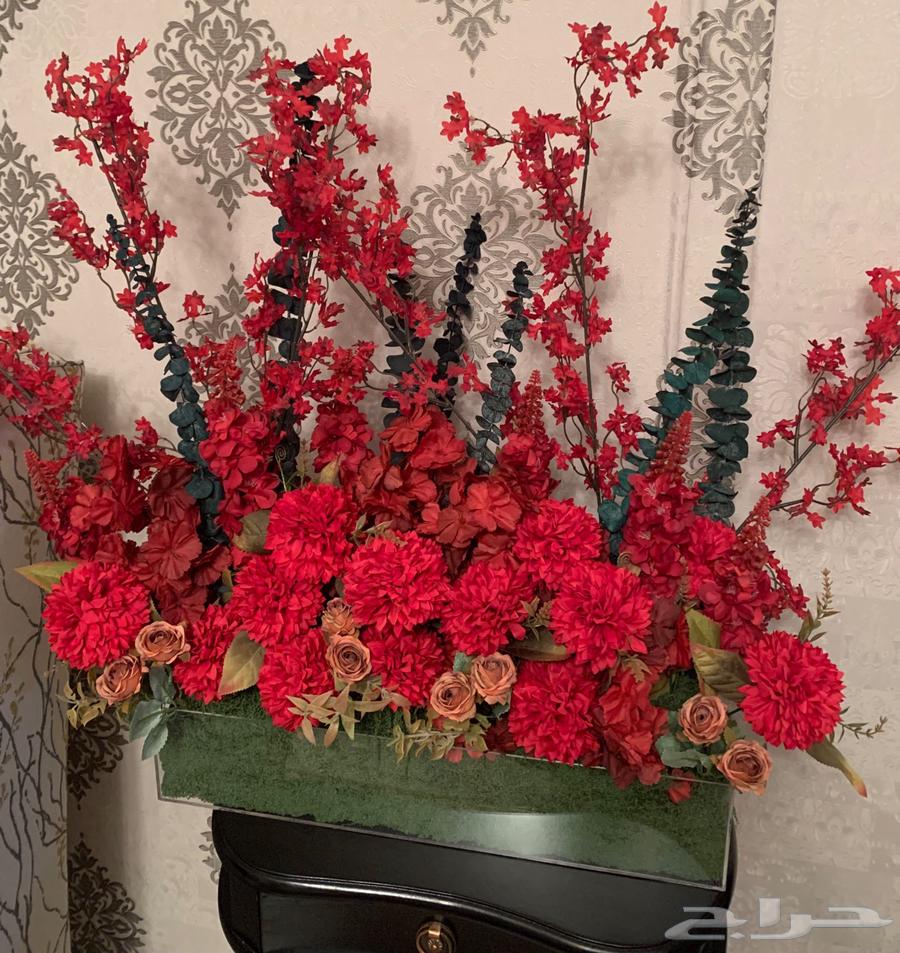 استاند ورد للايجار64568285288321110