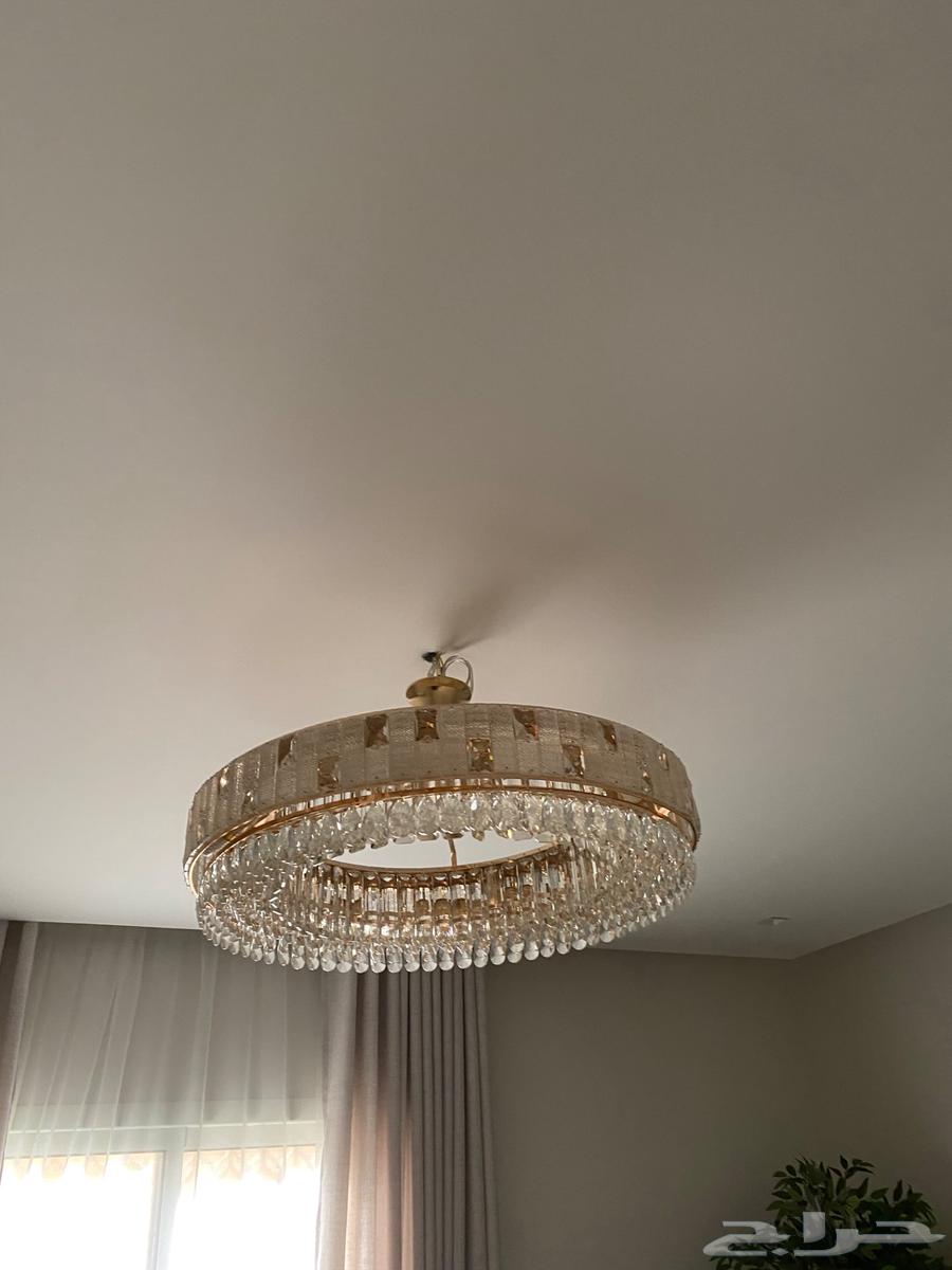 The Rich64575794574339110