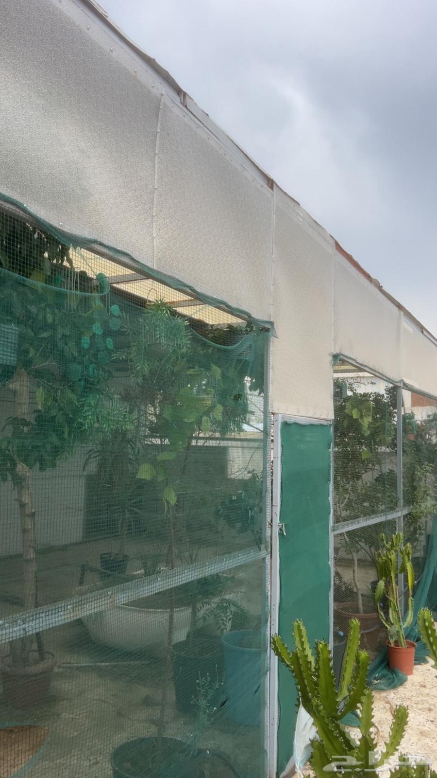 هنجر محمية جاهزه فقط فك وركب64574593370498110