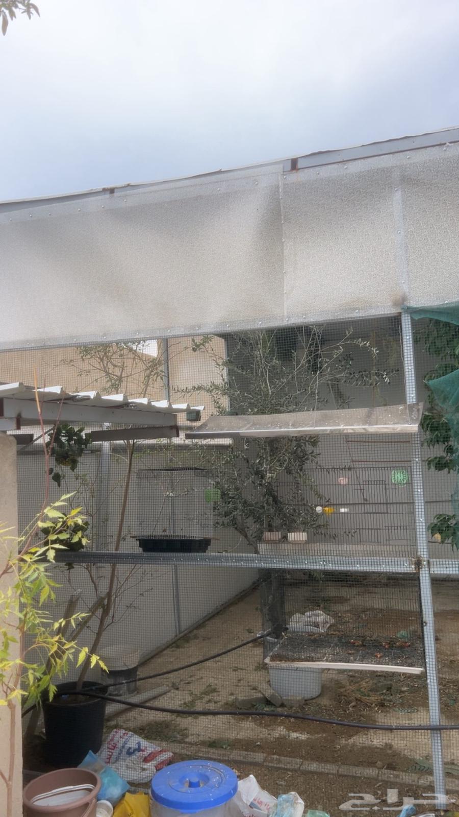 هنجر محمية جاهزه فقط فك وركب64574593370498113