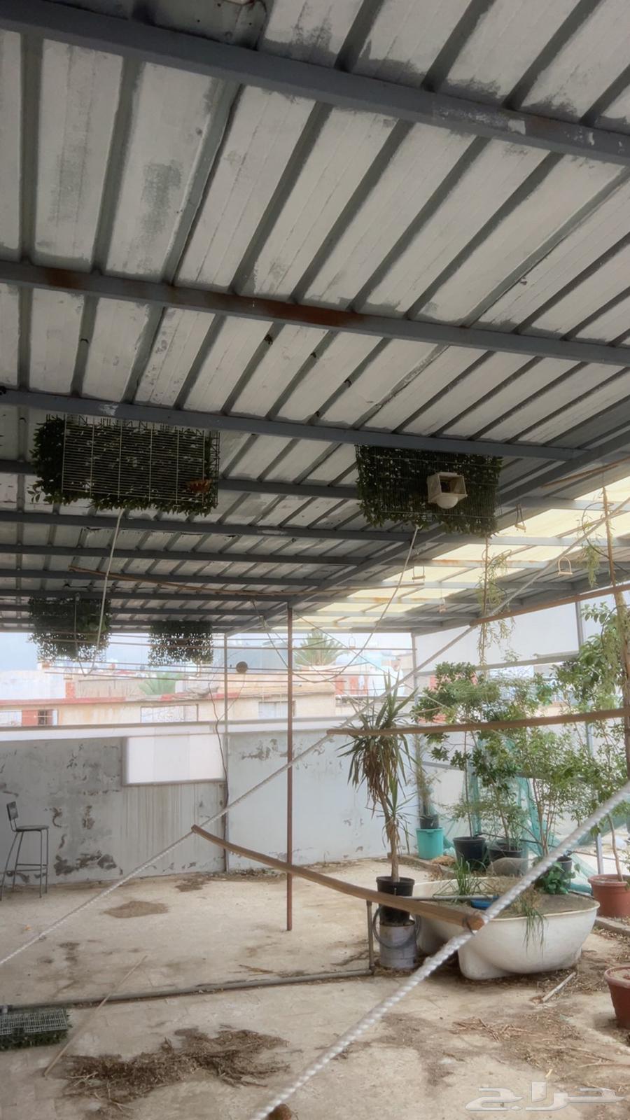 هنجر محمية جاهزه فقط فك وركب64574593370498112