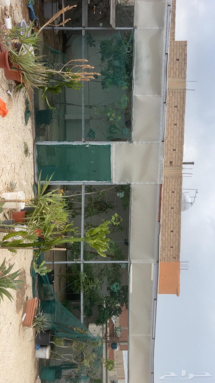 هنجر محمية جاهزه فقط فك وركب64574593370498111