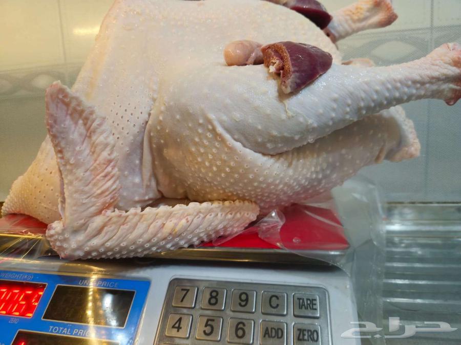 ديك رومي ذبح64577586702467110