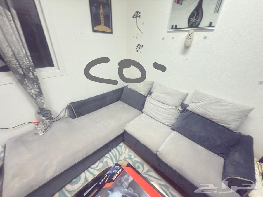 ركنه حرف L 180 ريال64579965252609110