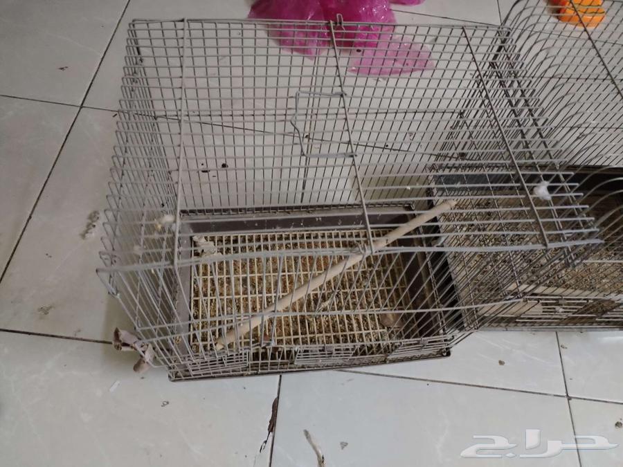 اقفاص للبيبع64577220007682112