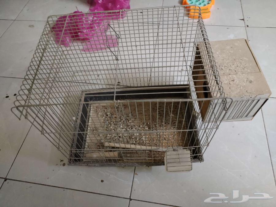 اقفاص للبيبع64577220007682111