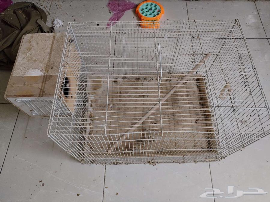 اقفاص للبيبع64577220007682110