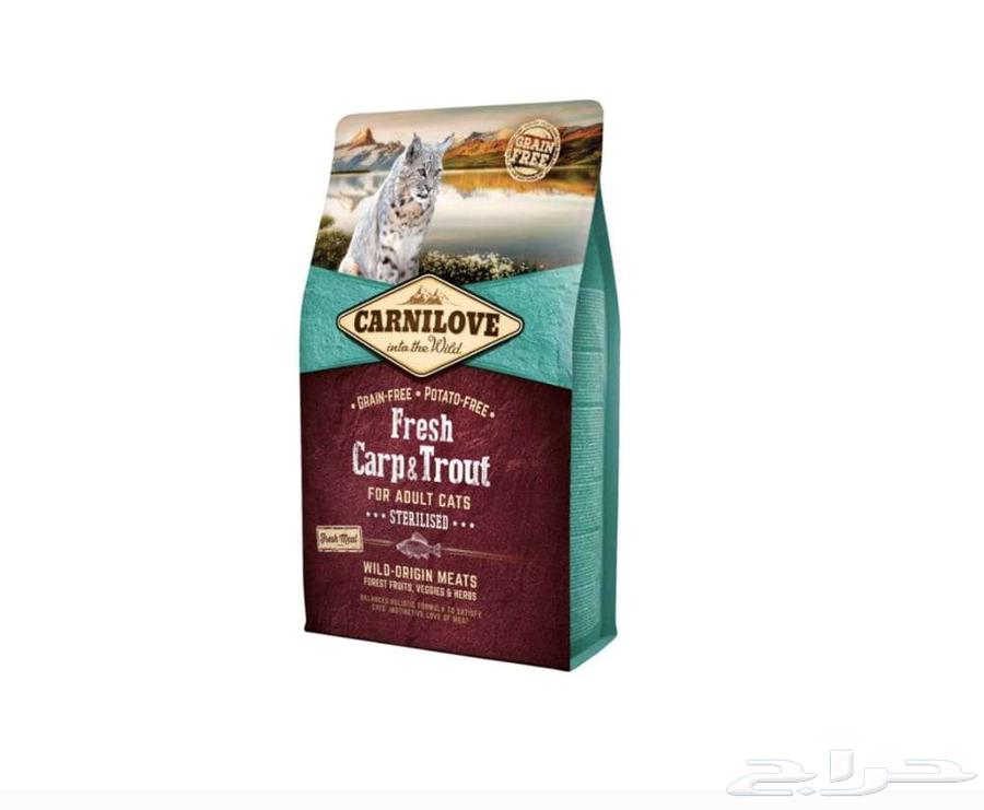 اكل قطط من شركة جوسيرا64576143504001110