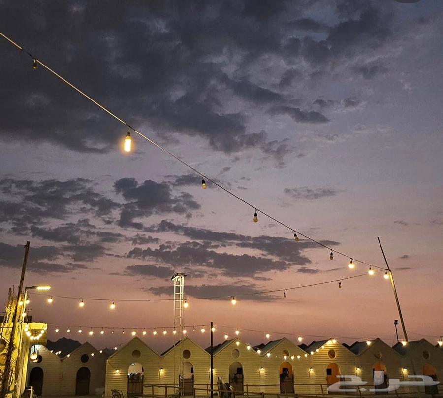 عرض اشتراك في اكاديمية سارة للخيل نادي الفروسية للنساء64577656968706111