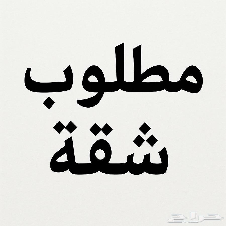 مطلوب في جده64145689394563110