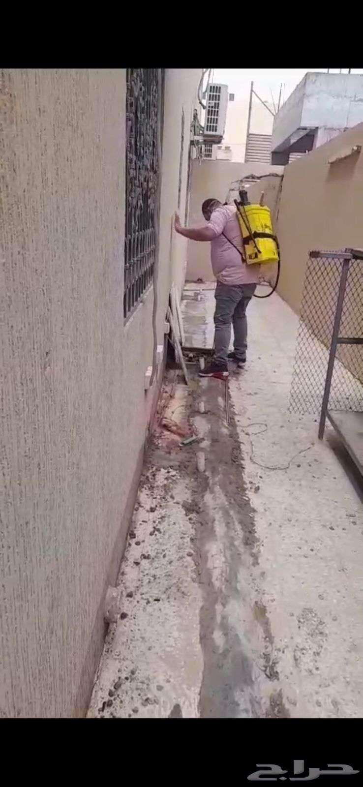 Pest Control Company in Jazan for Cockroach, Rat, and Bed Bug Extermination64162477943041113