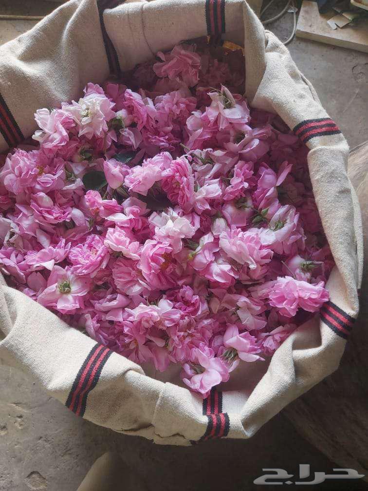 ورد طائفي ملكي64583237080451111