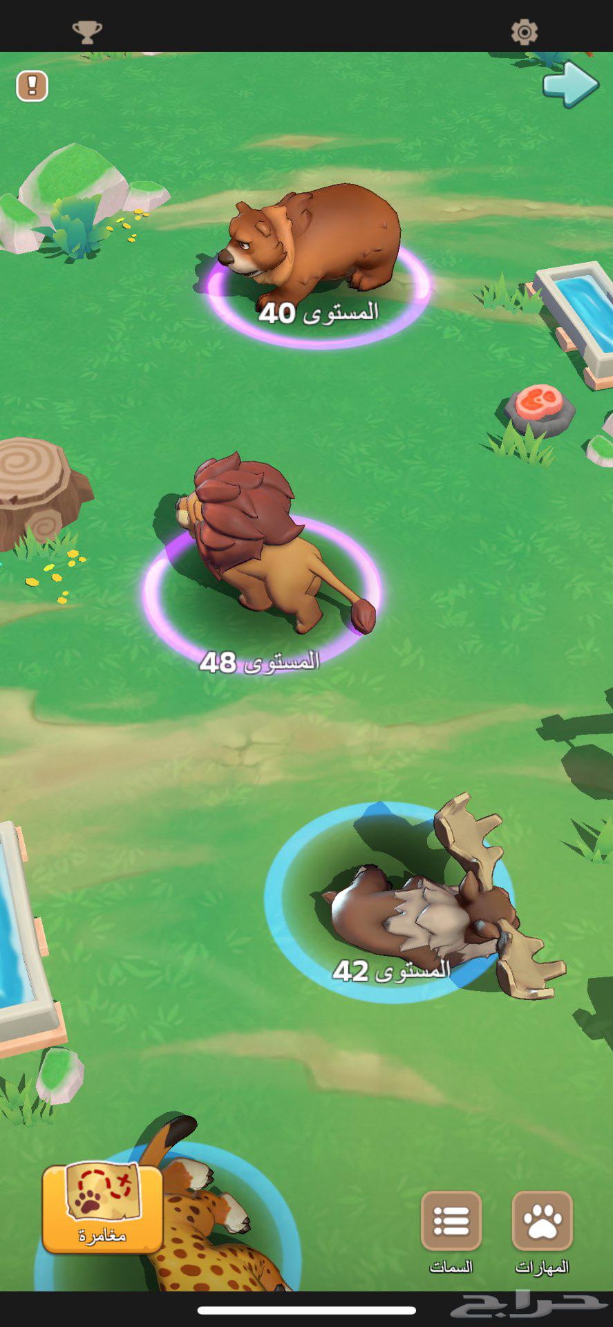 حساب كينق شوت للبيع ملوك البقاء kingshot64580595431939113