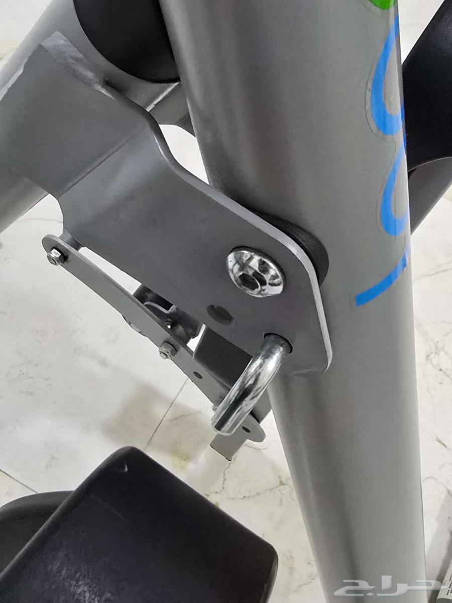 الغزال الطائر الوزن المثالي64580703809154111