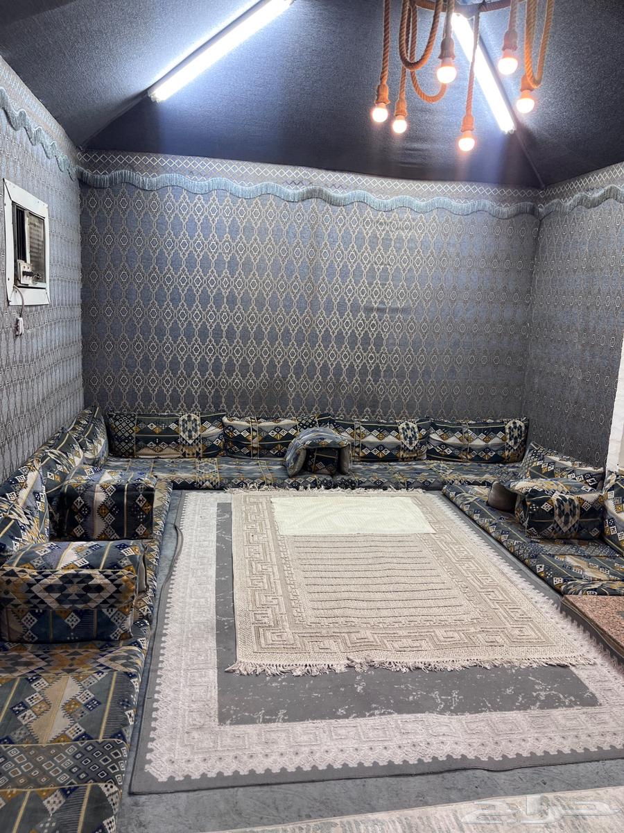 جلسة عربيه64588161278594110