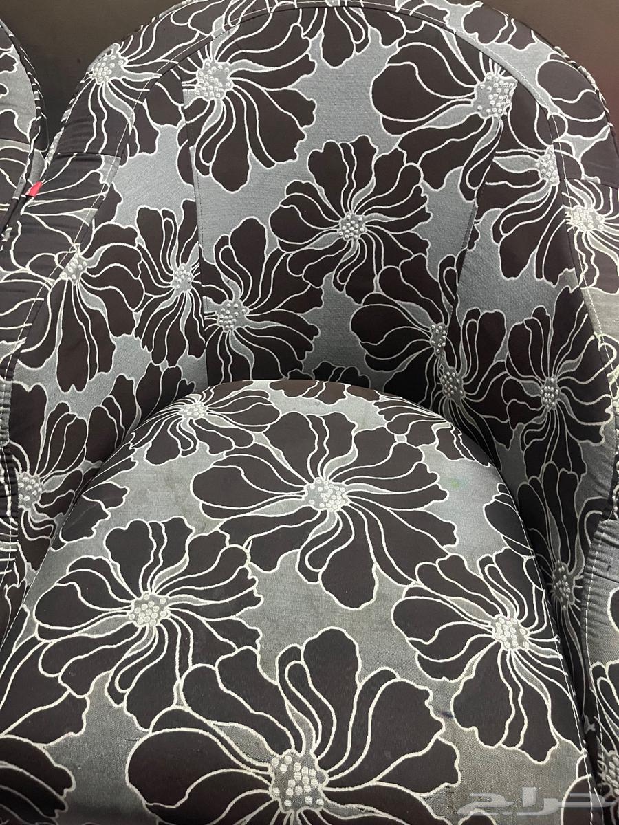 كنب بني ماركة ب 15064584092898818112