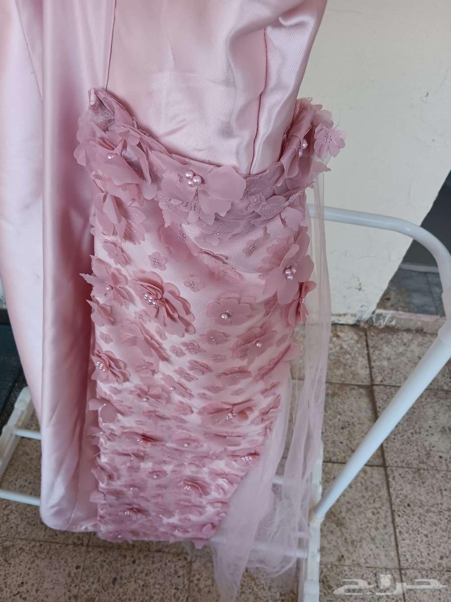 القصيم عنيزة64584729751298111